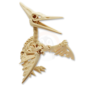 Kostra Pterodaktyla